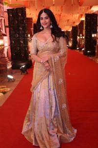 telugu actress nabha natesh gorgeous in a transparent saree