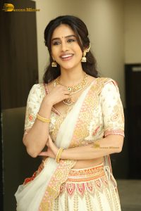 actress nabha natesh pretty in a lehenga choli dress