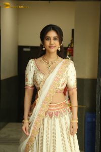 actress nabha natesh pretty in a lehenga choli dress