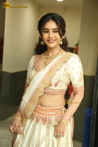 actress nabha natesh pretty in a lehenga choli dress