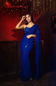 Nabha Natesh Picture Gallery 8