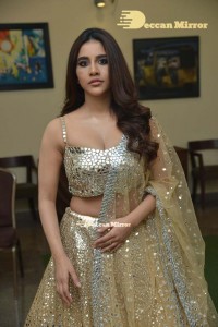 Nabha-Natesh-34