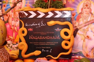 Nagabandham Movie Launch attended by Iswarya Menon, Nabha Natesh, Dil Raju, and Chiranjeevi