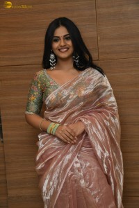 actress nayan sarika in a shiny saree