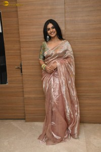 actress nayan sarika in a shiny saree