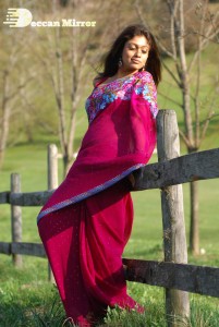 Actress Nayanthara in a Pink Saree
