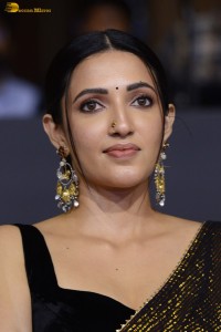 actress neha shetty cute at a movie function