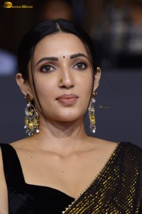 actress neha shetty cute at a movie function