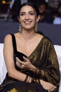 actress neha shetty cute at a movie function