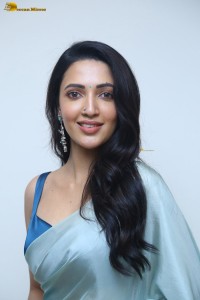 actress Neha Shetty ravishing looks in a blue saree