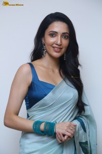 actress Neha Shetty ravishing looks in a blue saree