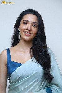 actress Neha Shetty ravishing looks in a blue saree