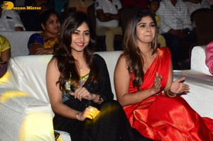 Pictures from the Pre-Release function of 'Nenu Meeku Baaga Kavalsinavaadini’ - attended by Kiran Abbavaram, Sonu Thakur and Sanjana Anand