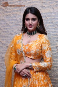 Nidhhi Agerwal Picture Gallery 3