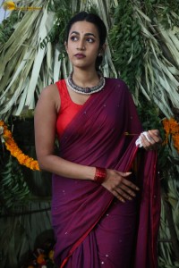 actress Niharika Konidela cute looks in a red saree