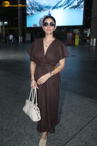 actress Nimrat Kaur beautiful in a brown dress