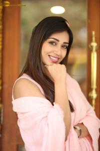 indian actress nivetha pethuraj in a pink salwar kameez dress