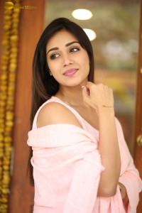 indian actress nivetha pethuraj in a pink salwar kameez dress