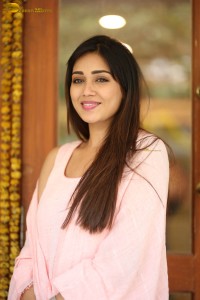 indian actress nivetha pethuraj in a pink salwar kameez dress