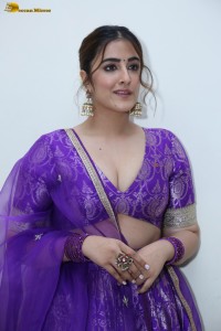 actress Nupur Sanon sexy in a low neck choli at a movie function