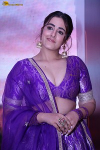 actress Nupur Sanon sexy in a low neck choli at a movie function