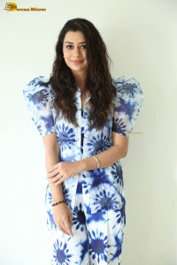 actress payal rajput cute in pajamas posing for photoshoot