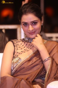 actress Payal Rajput ravishing in a brown saree