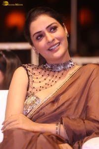 actress Payal Rajput ravishing in a brown saree