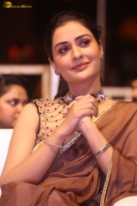 actress Payal Rajput ravishing in a brown saree