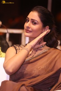 actress Payal Rajput ravishing in a brown saree