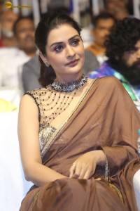 actress Payal Rajput ravishing in a brown saree