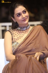 actress Payal Rajput ravishing in a brown saree