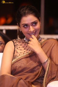 actress Payal Rajput ravishing in a brown saree