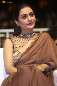 actress Payal Rajput ravishing in a brown saree