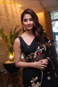 Pooja Hegde in a black saree while attending Acharya movie press meet