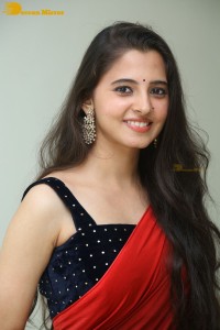 Telugu Actress Preethi Asrani in a red saree