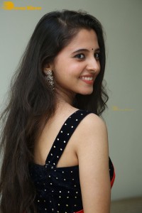 Telugu Actress Preethi Asrani in a red saree