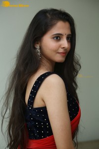 Telugu Actress Preethi Asrani in a red saree