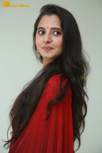 Telugu Actress Preethi Asrani in a red saree