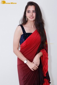 Telugu Actress Preethi Asrani in a red saree