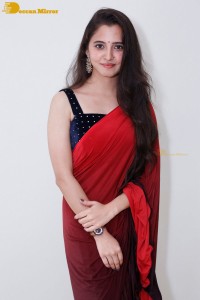 Telugu Actress Preethi Asrani in a red saree