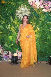 bollywood actress Preeti Jhangiani beautiful in a yellow saree