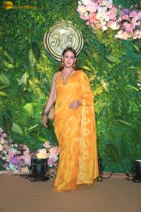 bollywood actress Preeti Jhangiani beautiful in a yellow saree