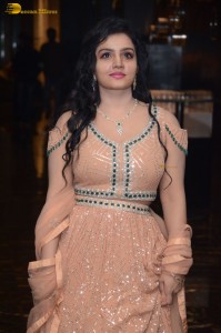 premadesam pre-release function attended by Madhoo, Thrigun and others