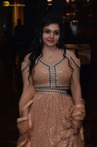 premadesam pre-release function attended by Madhoo, Thrigun and others