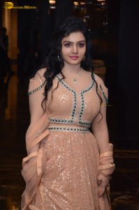 premadesam pre-release function attended by Madhoo, Thrigun and others