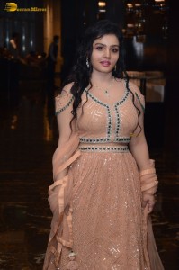 premadesam pre-release function attended by Madhoo, Thrigun and others