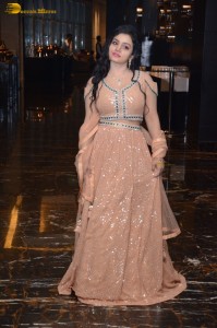 premadesam pre-release function attended by Madhoo, Thrigun and others