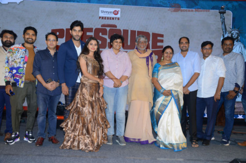 Pressure Cooker (13)