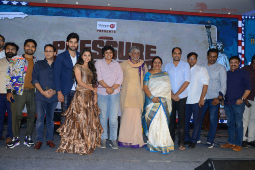 Pressure Cooker (16)